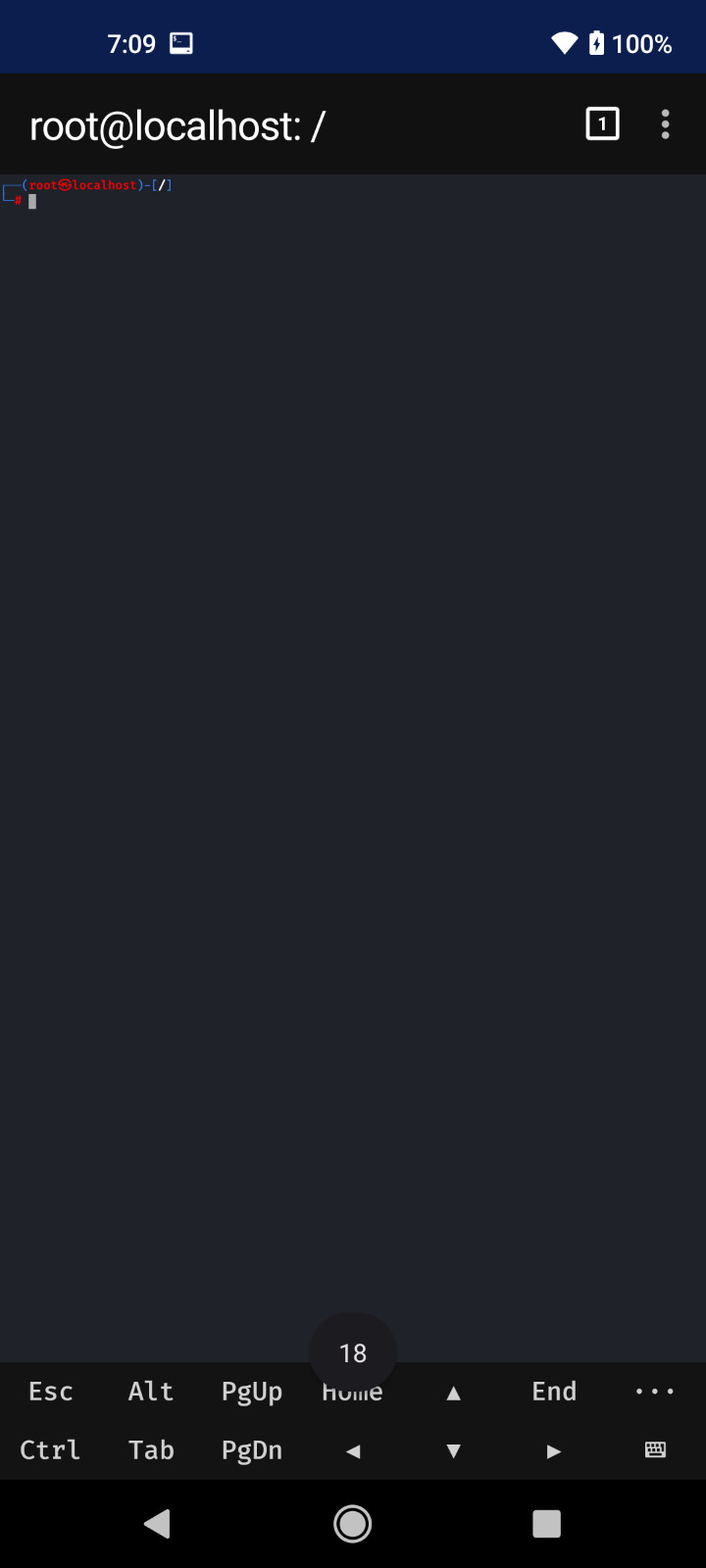 OnePlus 8T 5G 12GB 256GB Unlocked Rooted Kali Nethunter