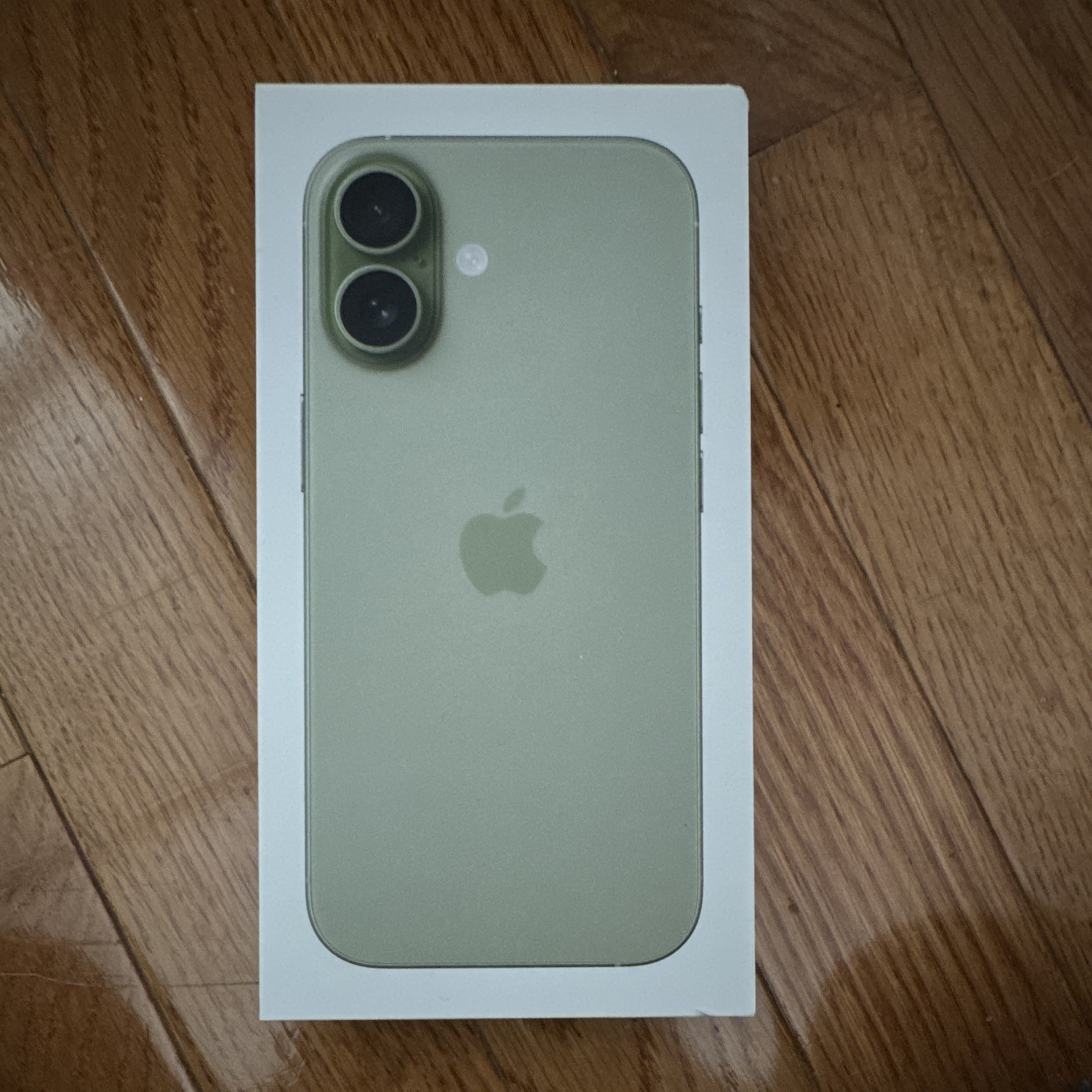 Apple iPhone 17 (T-Mobile) Green 256GB 48MP iOS eSIM Wi-Fi Bluetooth NFC