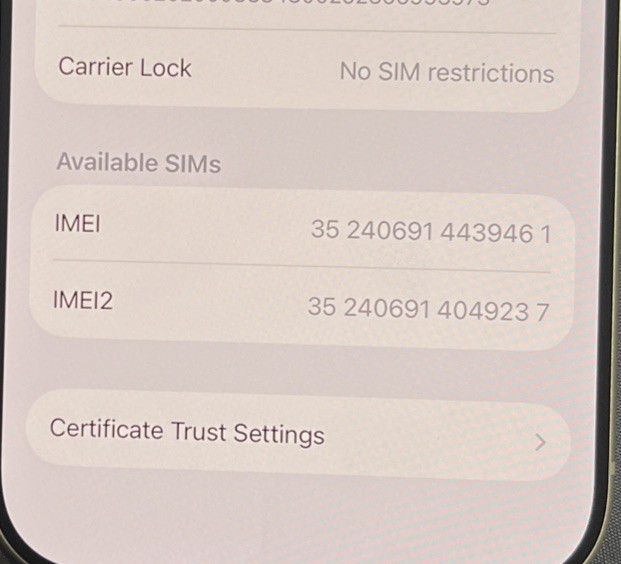 Apple iPhone 17 Pro with Physical Sim + eSim 512GB Silver Color Unlocked
