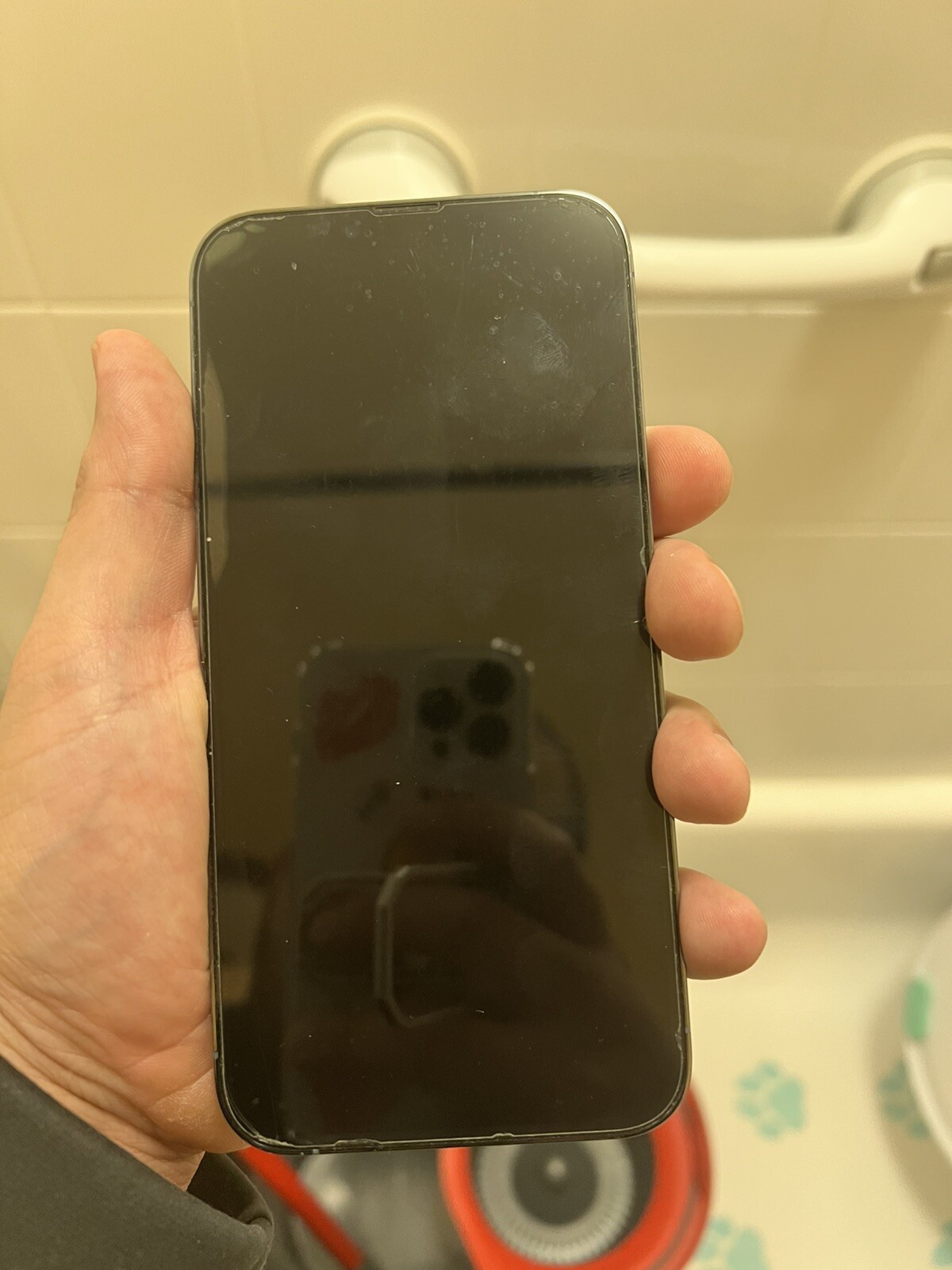 iPhone 13 Pro Max with TikTok application installed brand new condition no scrat