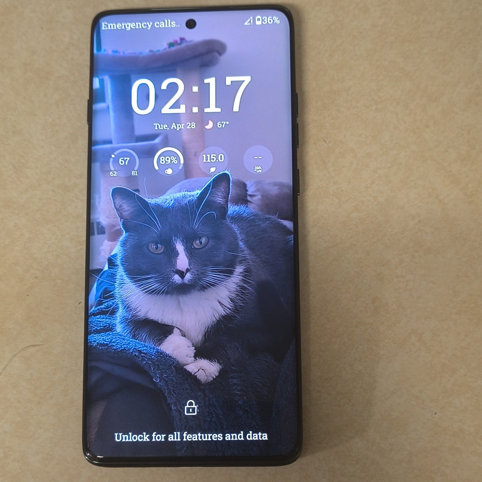 Motorola Edge 2025 for Metro