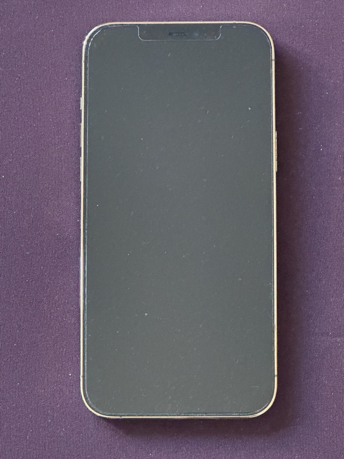 Apple iPhone 12 Pro Max Gold For Parts or Repair Free Shipping