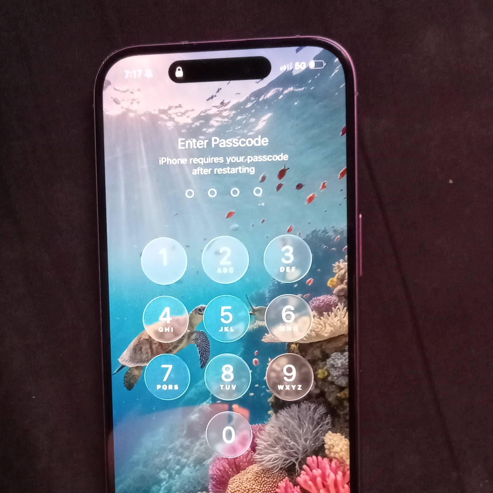 Apple iPhone 16 Pink Bar Smartphone 123 KB Storage Passcode Locked