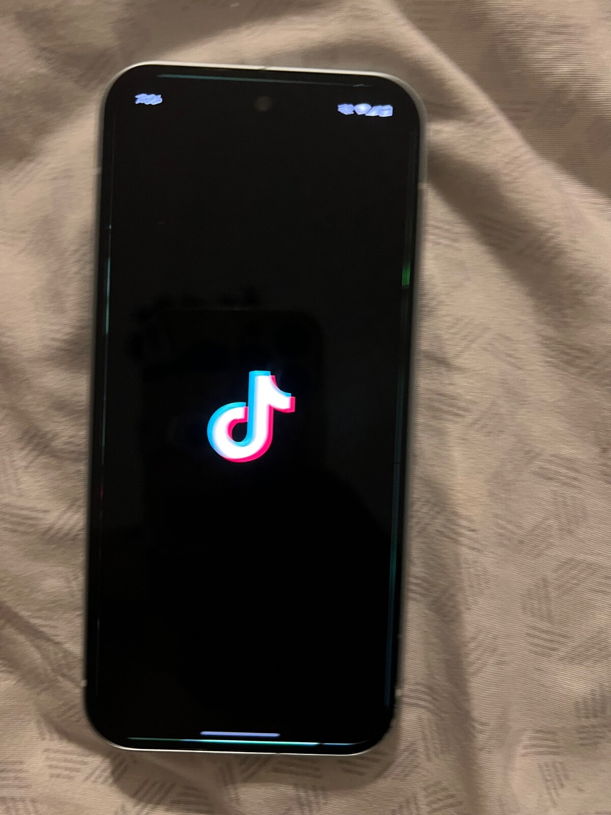 TikTok Google Pixel 9 – 128 GB – Green (Xfinity)
