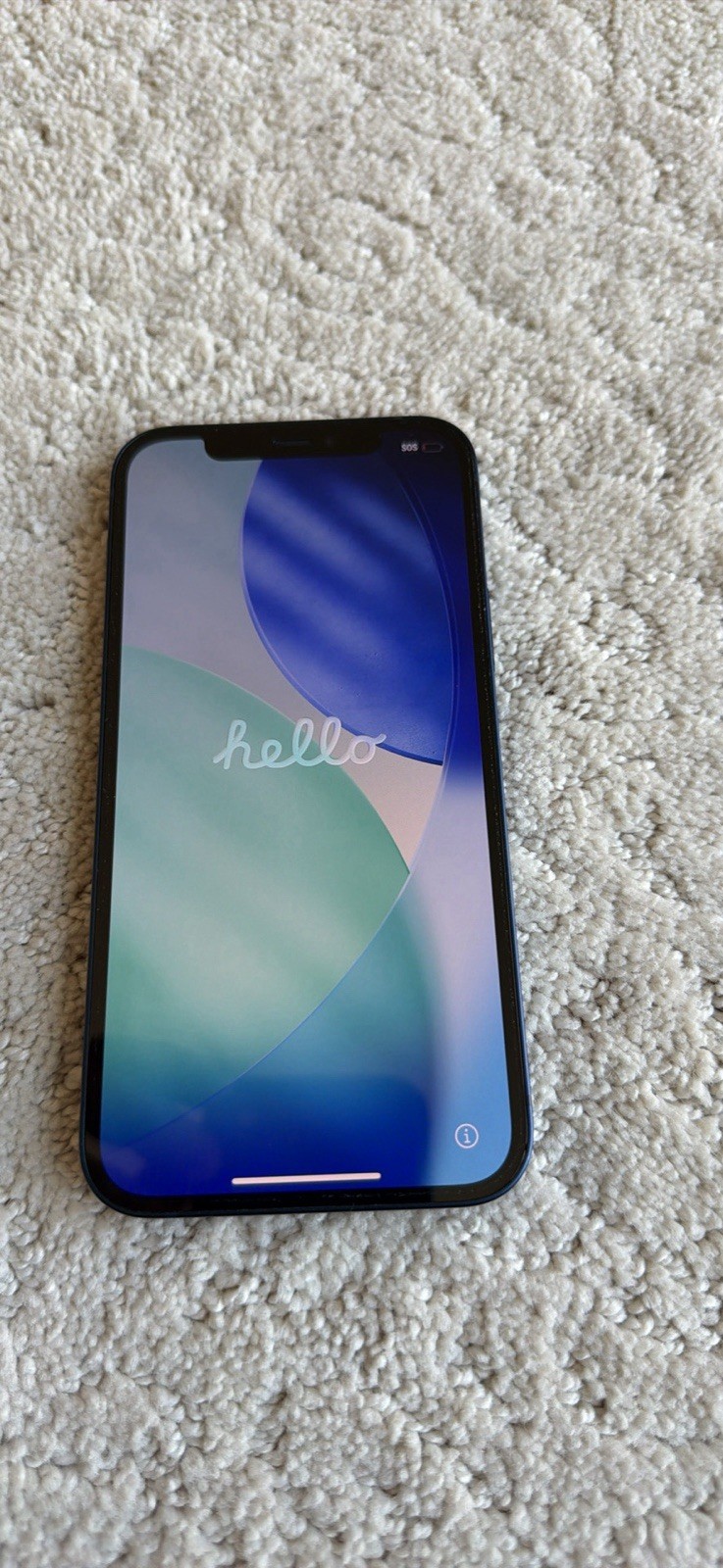 Apple iPhone 12 A2402 Unlocked Smartphone 64GB Blue