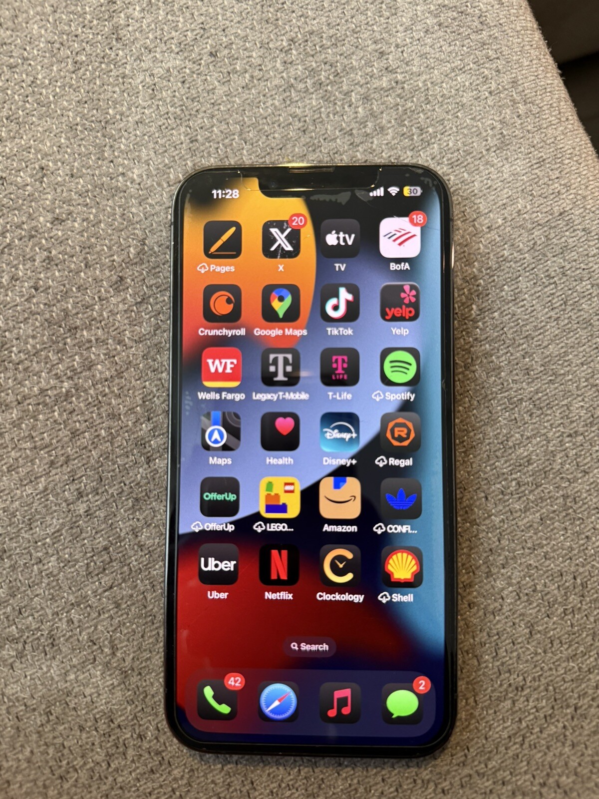 iphone 13 pro With TicTok App